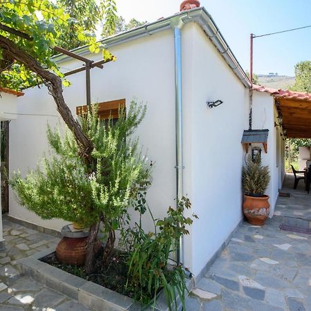 Villa Suzana Mikros Prinos Exterior photo